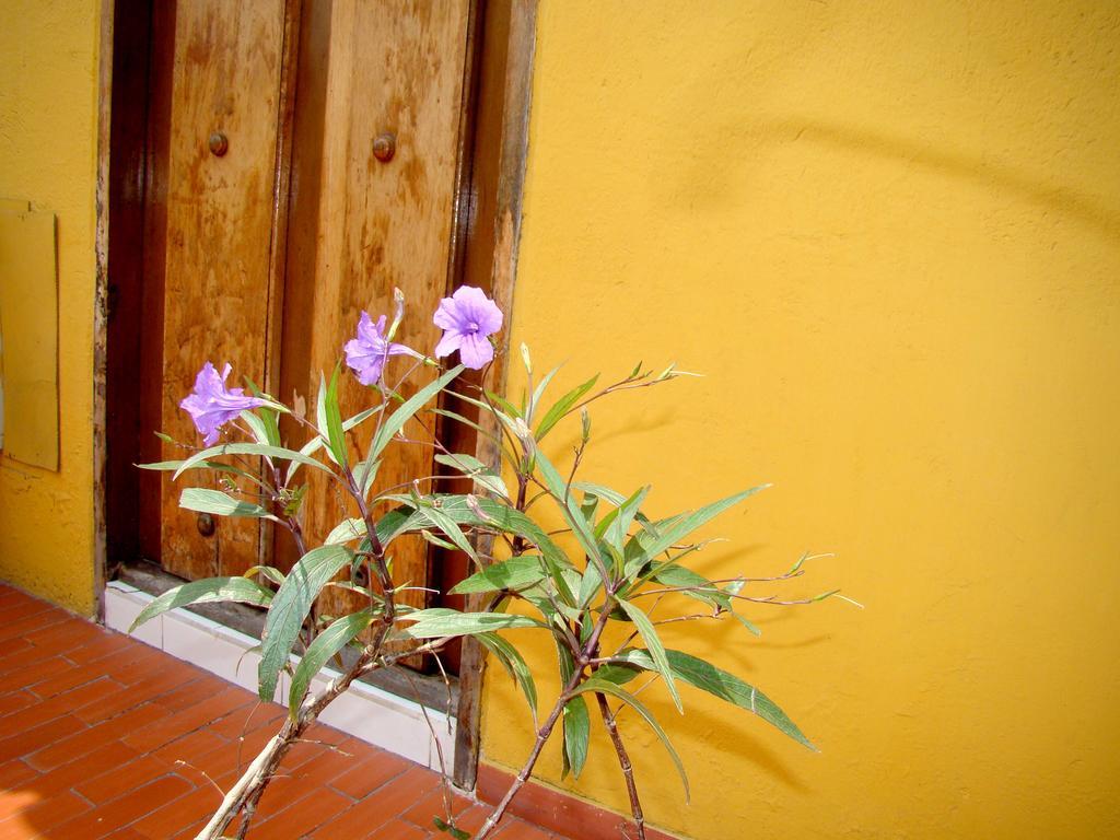 Hotel Casa Vieja Santa Marta  Kültér fotó